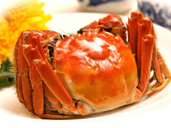 彭席彦亮相《放歌中国》,惊艳献唱《可是你没想到》_开云电竞app下载安装(图1) 开云电竞官网