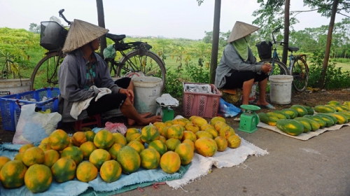 开云电竞官网_《老酒馆》“镇馆活兽”初亮相 95后张可盈搭档老戏骨被赞够“硬核”(图1) 开云电竞官网