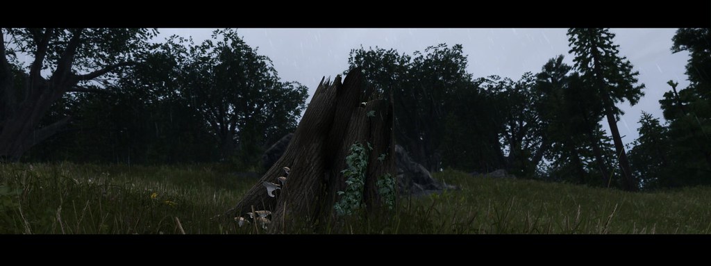 开云电竞app下载安装