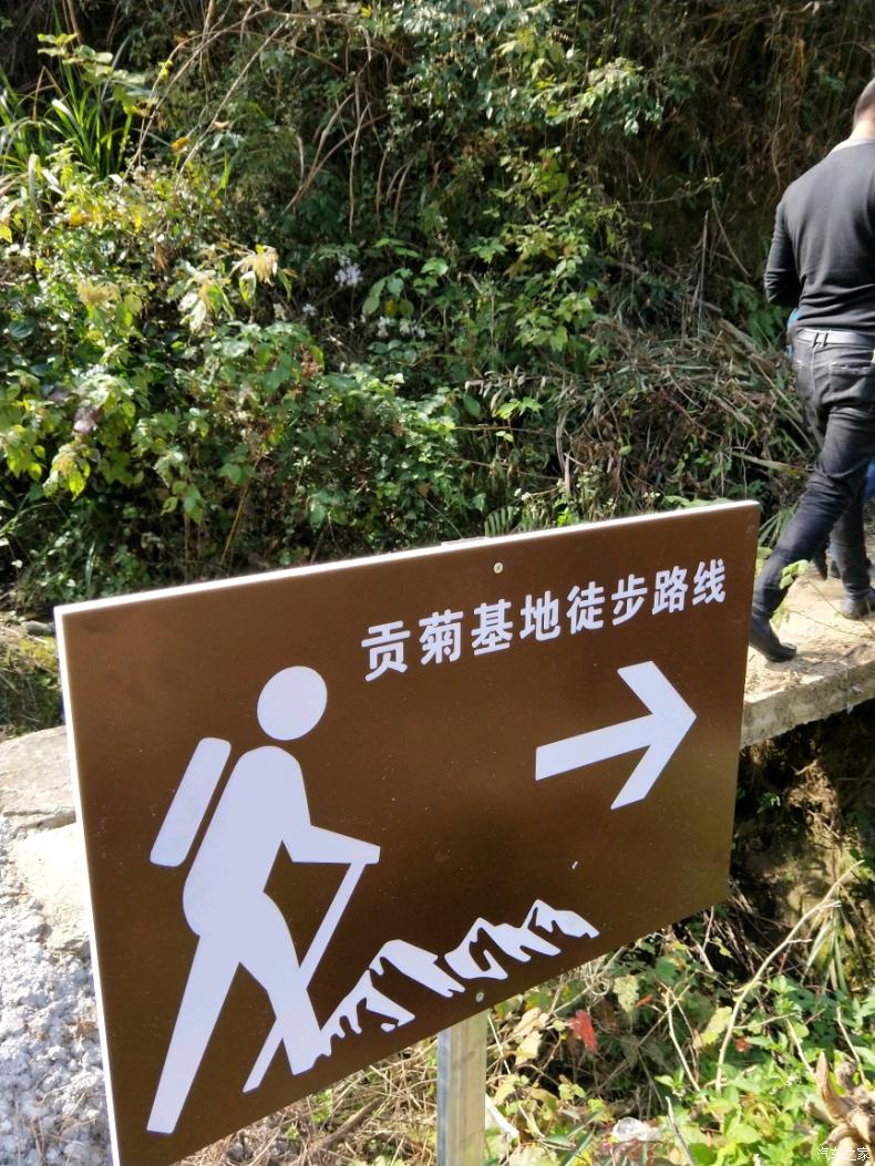 开云电竞app下载安装-北美票房:《蜘蛛侠:英雄归来》首战大捷(图2) 开云电竞官网