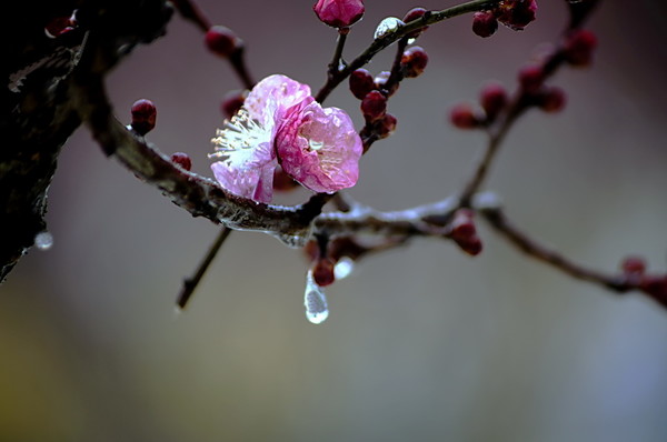 【开云电竞官网】倪妮彭于晏演绎初恋小事 片场互损似回到校园(图1) 开云电竞