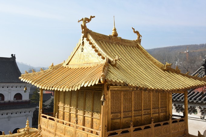 《心灵法医》治愈来袭 芦芳生独挑大梁首播获赞-开云电竞官网(图1) 开云电竞官网