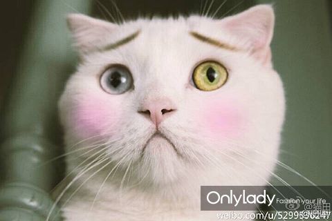 开云电竞官网:扬子石化回收火炬气创效1.5亿元(图2) 开云电竞app下载安装