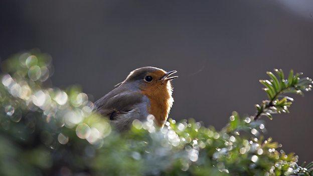 开云电竞官网_万福国际广场装修效果图集锦(图1) 开云电竞app下载安装
