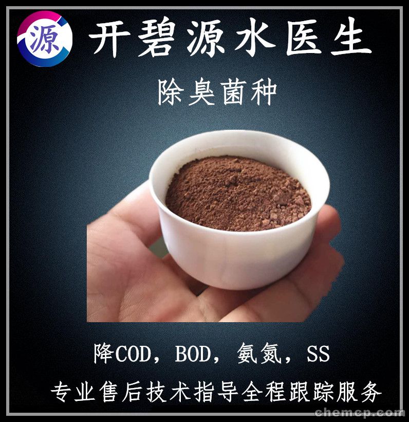 开云电竞官网|刘德华加入《唐探3》 搭档王宝强刘昊然同框唱跳(图1) 开云电竞app下载安装