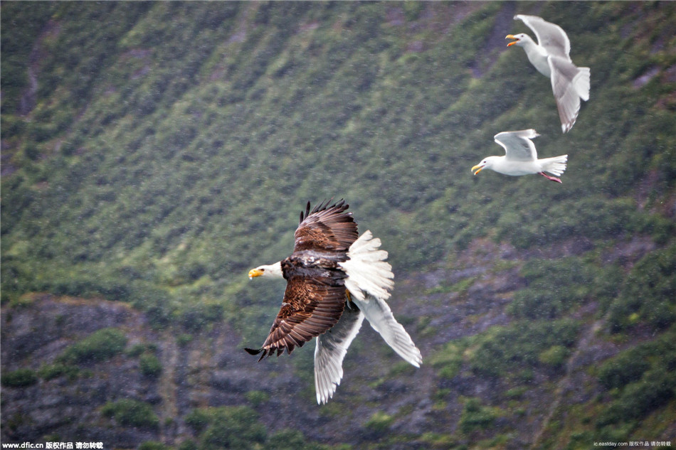 人小志气大! 《复仇者联盟4》的未来全靠他?【开云电竞app下载安装】(图1) 开云电竞