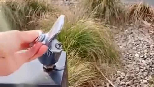 开云电竞官网-楚天科技股份有限公司亮相展会P-MECChina2011(图4) 开云电竞app下载安装