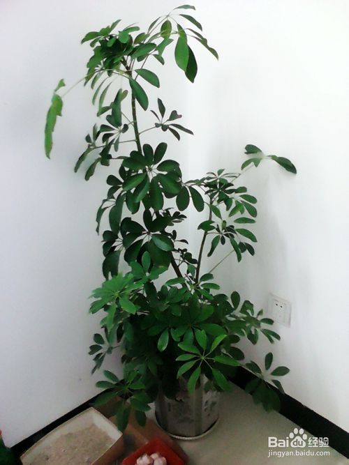 (10月13日)合同额超60亿中国化学9月签煤化工大单_开云电竞(图1) 开云电竞官网