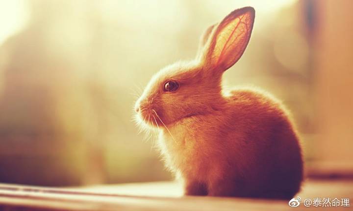 齐溪亮相《吹哨人》首映礼 “文艺女神”致敬无名英雄-开云电竞(图1) 开云电竞app下载安装