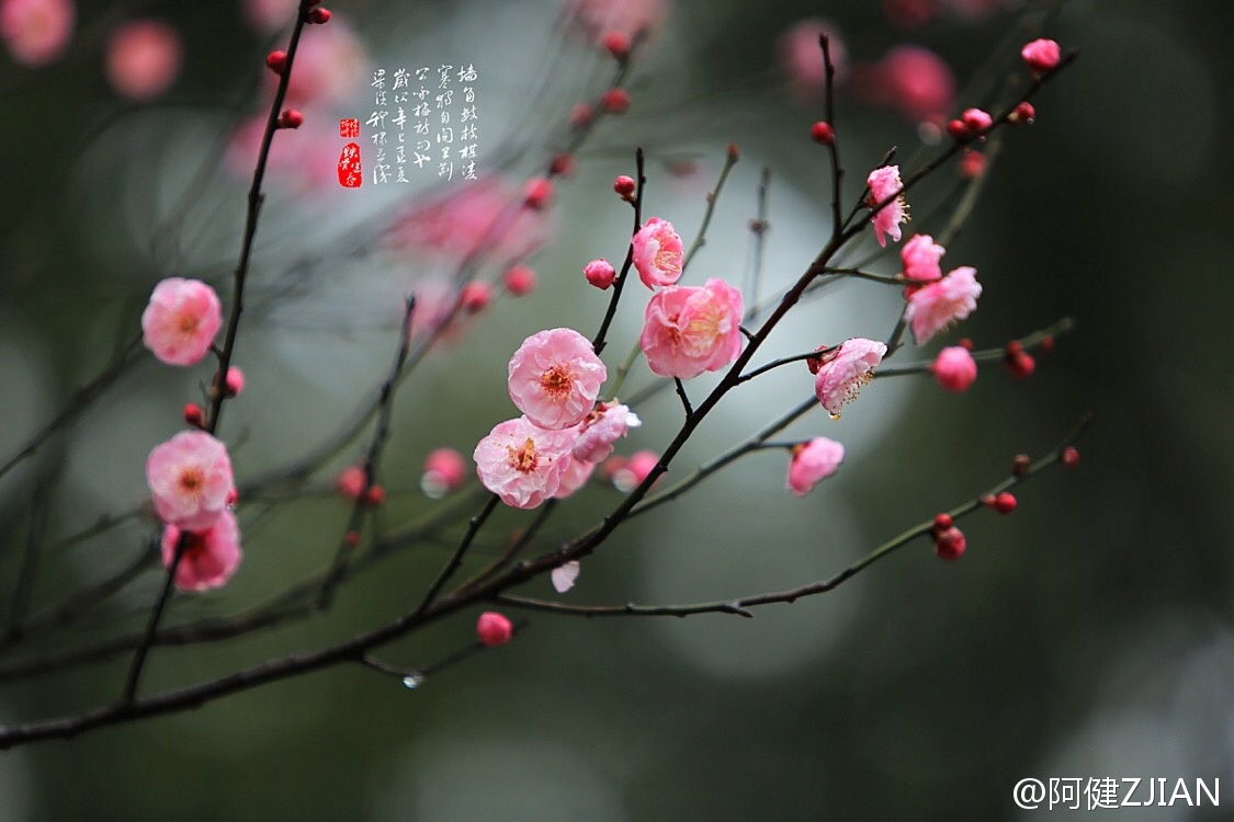 “开云电竞”(03月19日)2014年全国合成氨产量5699万吨系五年首降(图2) 开云电竞