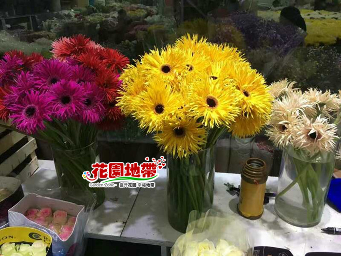 “星云”凯伦·吉兰生日! 性感演绎《勇敢者游戏2》大放狠招|开云电竞app下载安装(图1) 开云电竞官网