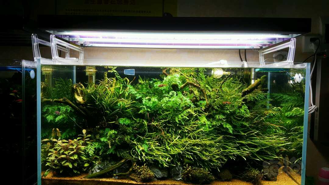 墙面找平用什么材料“开云电竞官网”(图1) 开云电竞官网