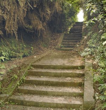 《狮子王》北美开画破7月历史记录 “蜘蛛侠”北美破3亿“复联4”超《阿凡达》‘开云电竞官网’(图1) 开云电竞app下载安装