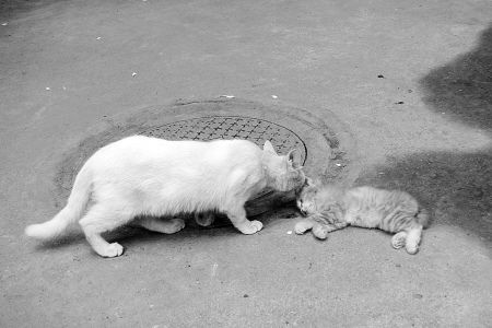 《你是凶手》宋佳贡献“至狠时刻” 王千源执着寻凶_开云电竞app下载安装(图1) 开云电竞官网