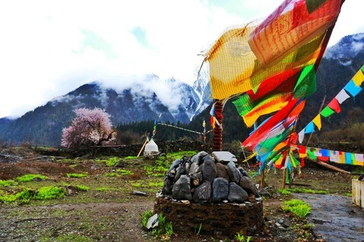 开云电竞app下载安装