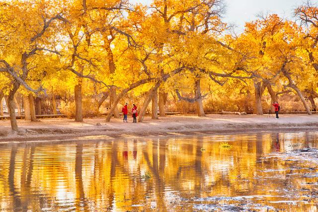 开云电竞app下载安装