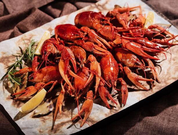 开云电竞app下载安装