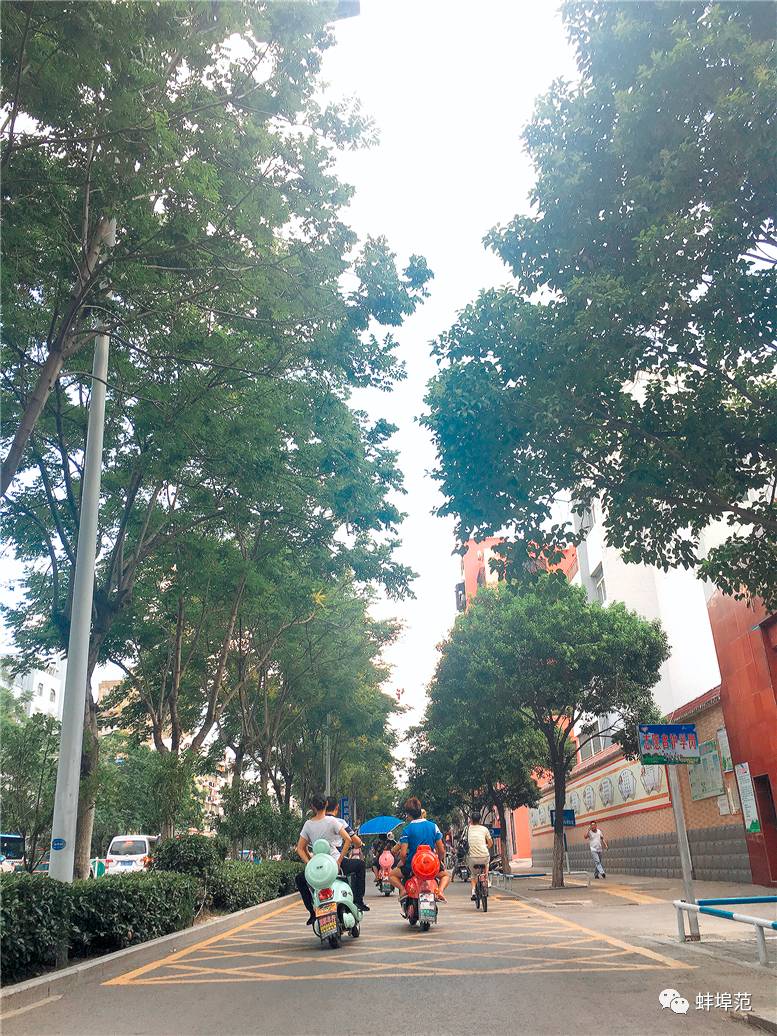 开云电竞app下载安装