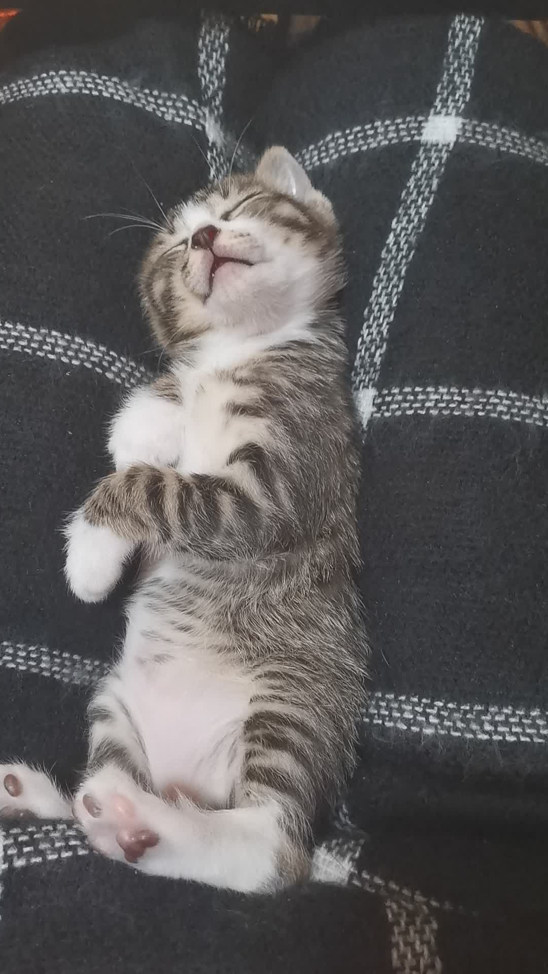 开云电竞app下载安装