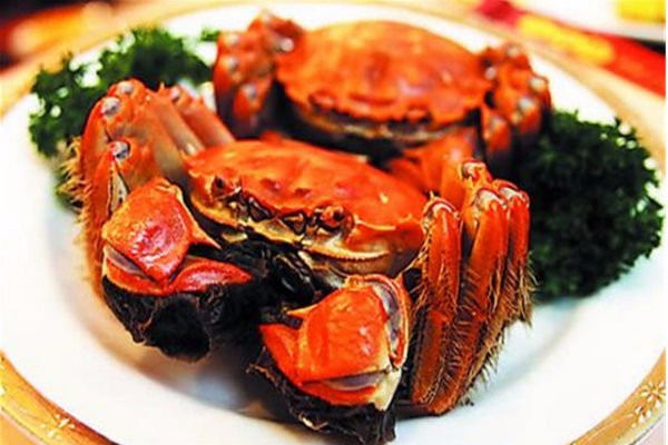 开云电竞app下载安装