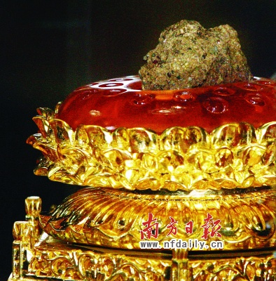 开云电竞app下载安装