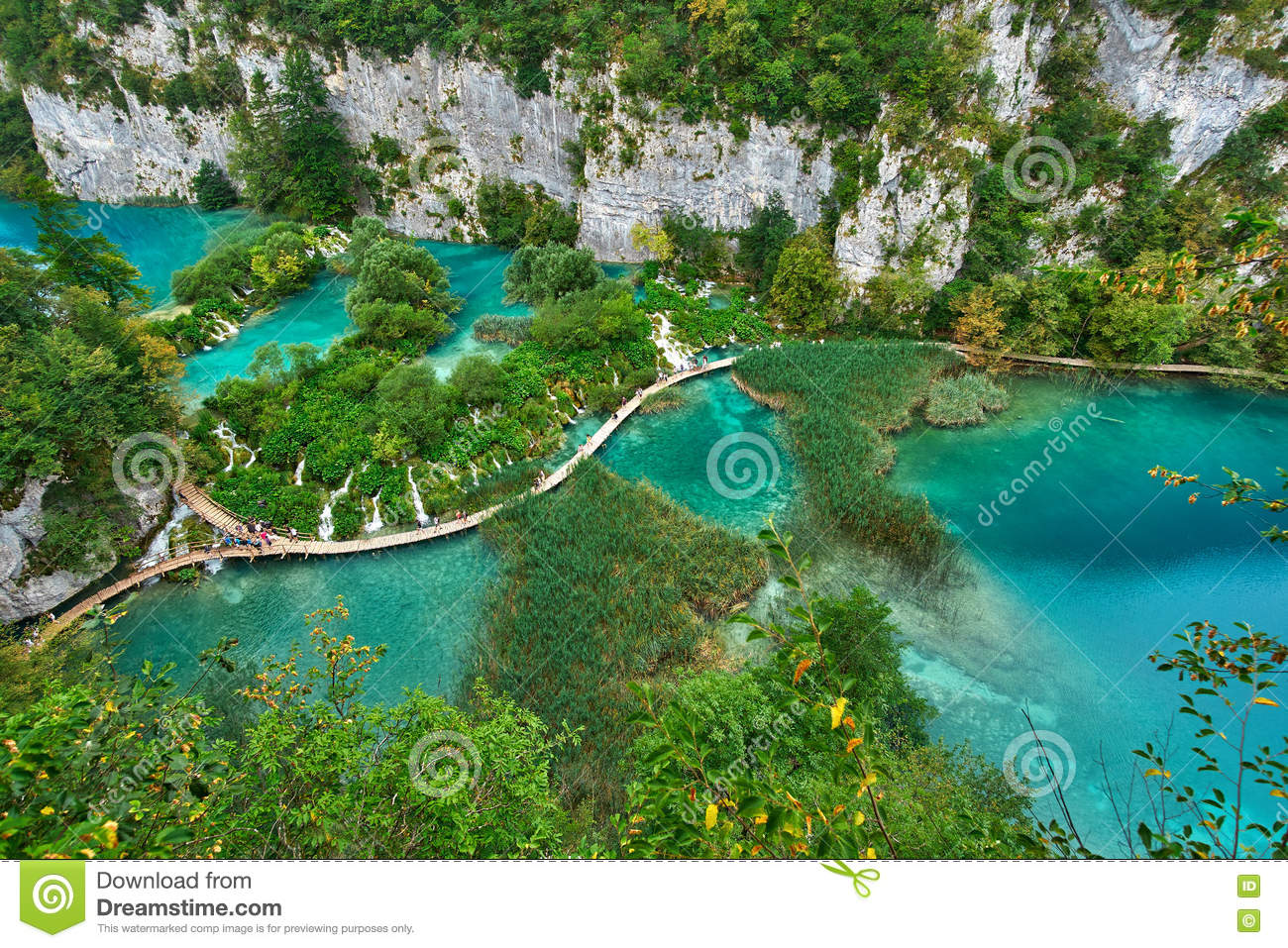 开云电竞app下载安装