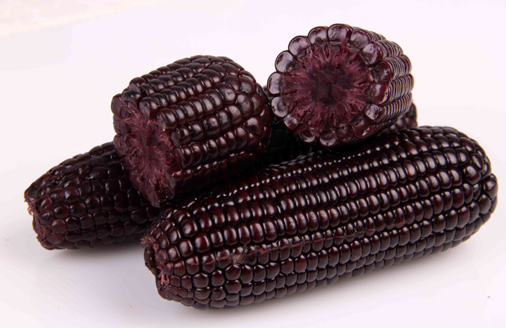 开云电竞app下载安装