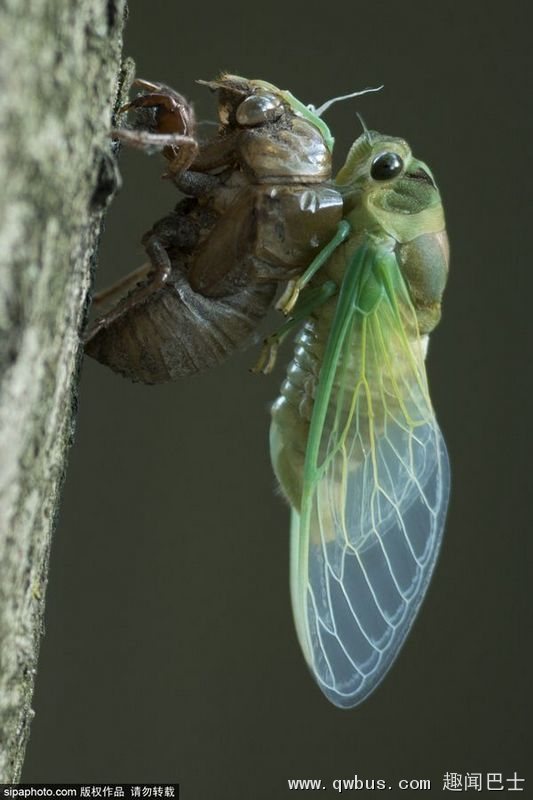开云电竞app下载安装