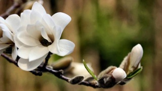 开云电竞app下载安装