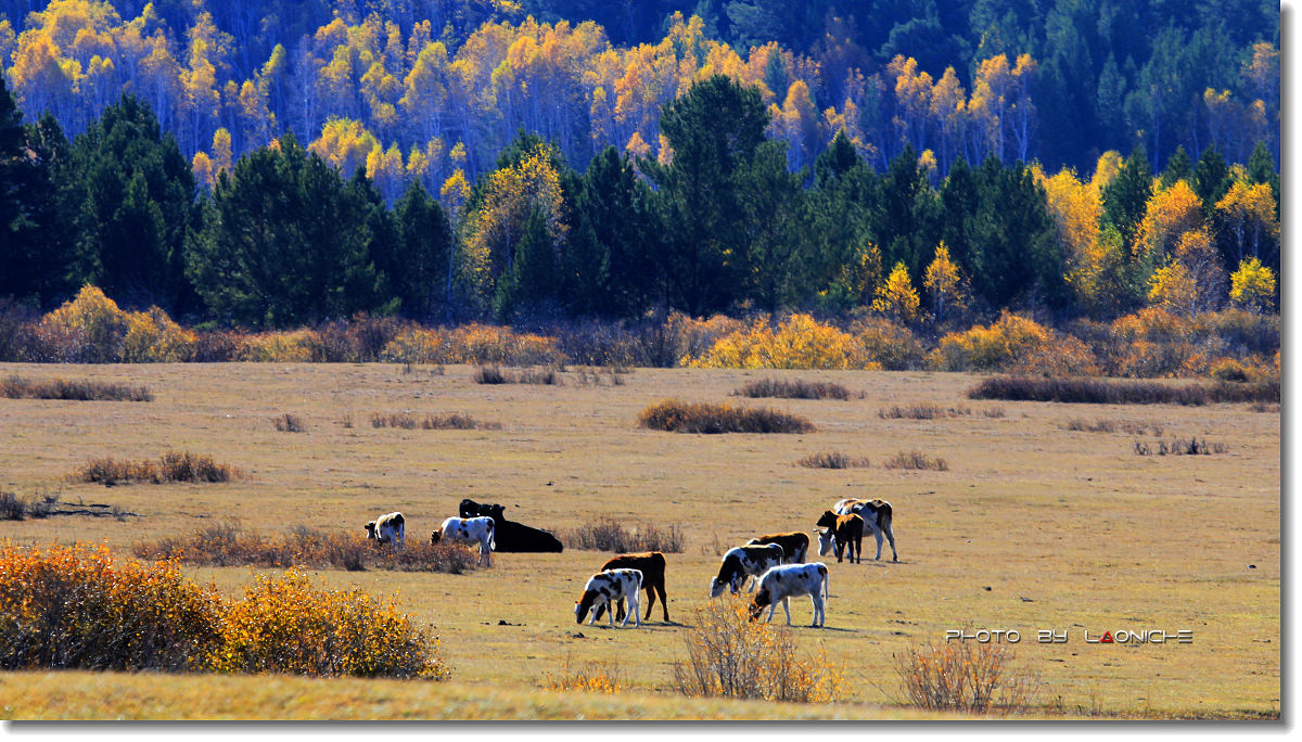 开云电竞app下载安装