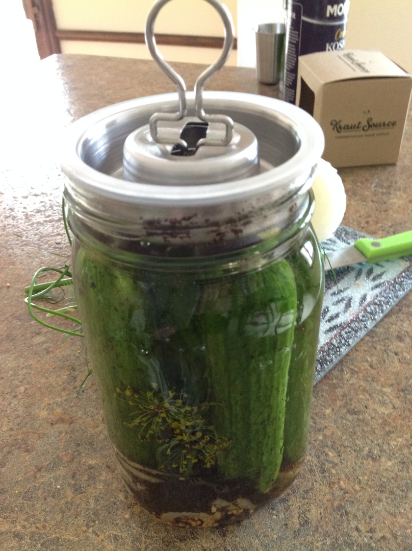 开云电竞app下载安装