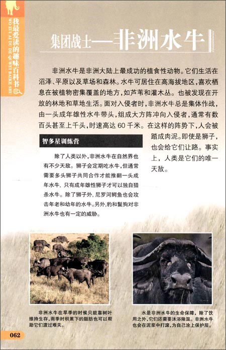 开云电竞app下载安装