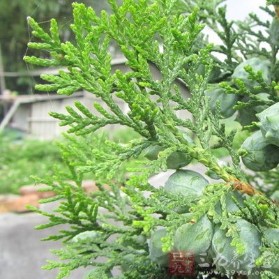 开云电竞app下载安装